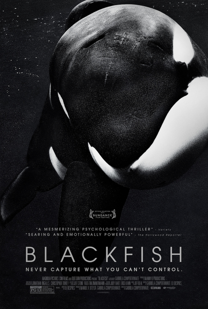 Film Review: Blackfish