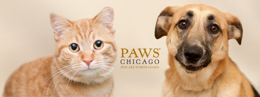 PAWS Chicago